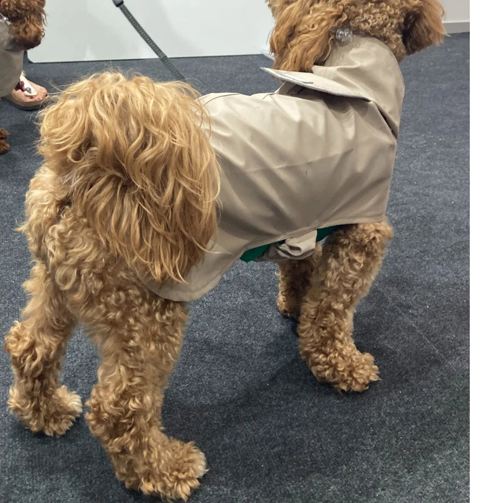 Durable Modern Dog Raincoat All-Weather Protection Summer Spring Windproof Polyester Coat for All Sizes Keeps Your Pet Warm Dry