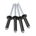 2.4mm 3mm 3.2mm 3.8mm 4mm 4.8mm 5mm 6.4mm Colored Painted Pop Rivets Dome Head Aluminium Rivets