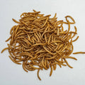 Customizable Packaging Dried Mealworms for Animal Pet Snacks Animal Feed