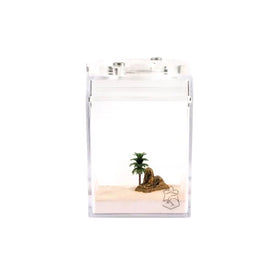 Ant Empire Roam-Around Egypt Medium Nest Feeding Area Ants Button Closure Acrylic Material Transparent Eco-Friendly Durable Easy