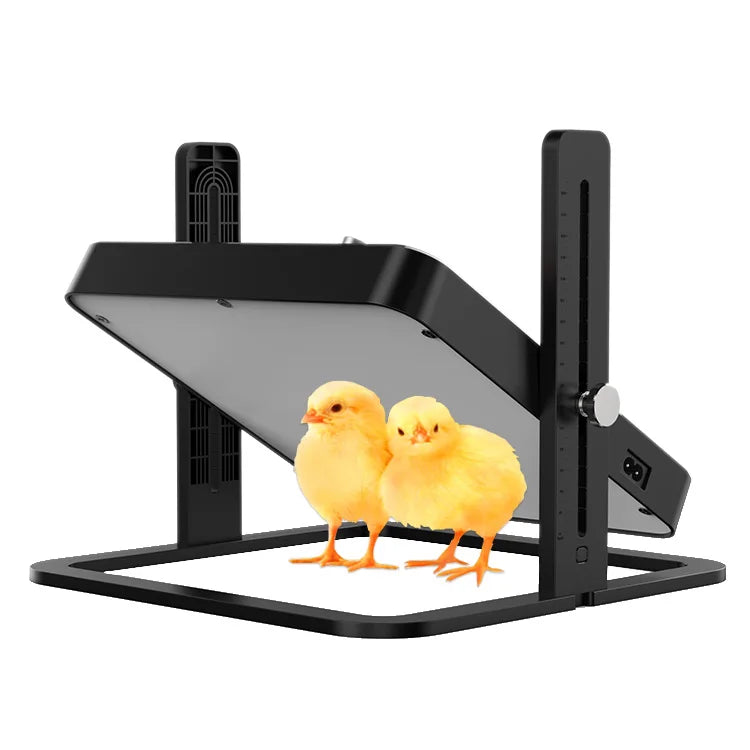 WONEGG Full Automatic Heating Equipment Poultry Chicken Parrots Quail Brooder Heat Plate for Chick Heating Plate