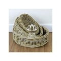 TOP SELLING Hand-Woven Baskets 2025 from Blue Lotus for Kitchen and Display  Top Grade Material and Immediate Delivery