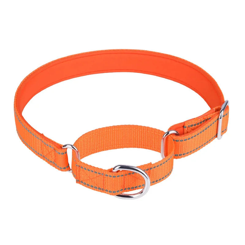 Adjustable Nylon Reflective Explosion-proof Pet Collar Personalized Neck Collar for Cats Dogs Wholesale Pet Product Traction