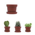 1 Inch Succulent Pots CUL-003