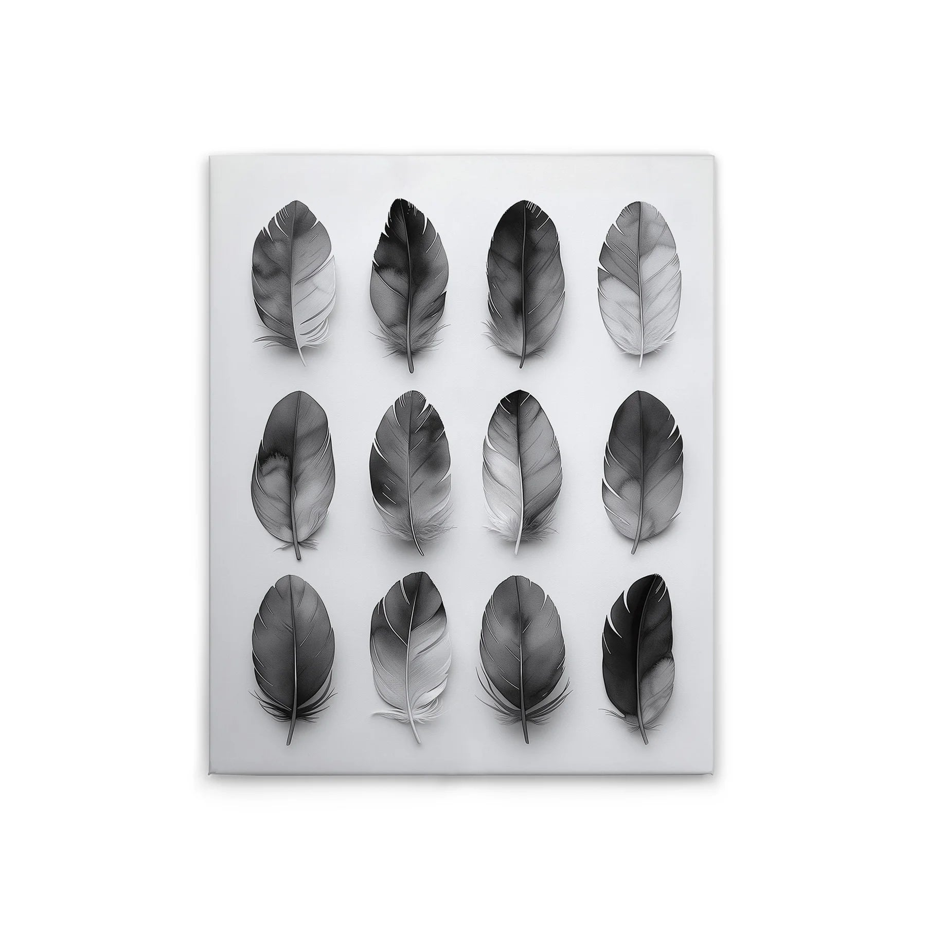 Made In Germany - Home Decor Canvas Picture Feathers Grey - Wall Mural In Black And Grey - Canvas Picture On Stretcher Frame