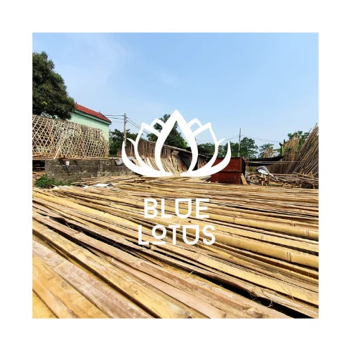 Multi Purpose Bamboo Stick for Plant Support Home Decor and Outdoor Use BLUE LOTUS Vietnam