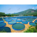 Lvju Ferme Aquaculture Greenhouse Ras Recirculating Aquaculture for Shrimp Saltwater Galvanized Canvas Fish Pond