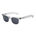 Transparent Acetate Frame Tac Lens Sunglasses Classic Vintage Sun Shades Glasses for Men Women