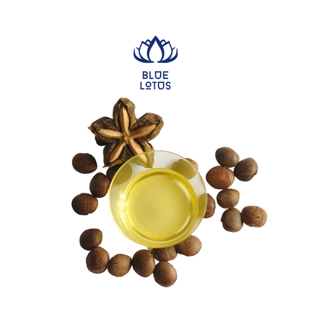 LARGE QUANTITY SACHA INCHI OIL 20 LITERS SACHA INCHI NUTS GREEN TREE EXTRA VIRGIN SACHI INCHI OIL 250ML FROM VIETNAM 2025