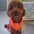 Stock Bamboo Bathrobe for Small Breeds Dogs Summer Lightweight Eco-Friendly Easy Use Single Layer Durable Sustainable Popular