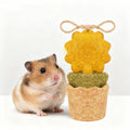 High-Nutrient Hamster Food Featuring Popular Natural Ingredients for Teeth Grinding and Terrarium Decoration MegaBDM