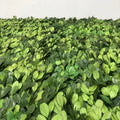 K-0118 Accept Customization Green Grass Decoration Home Garden Plant Wall Preserved Boxwood Leaves Grass Wall
