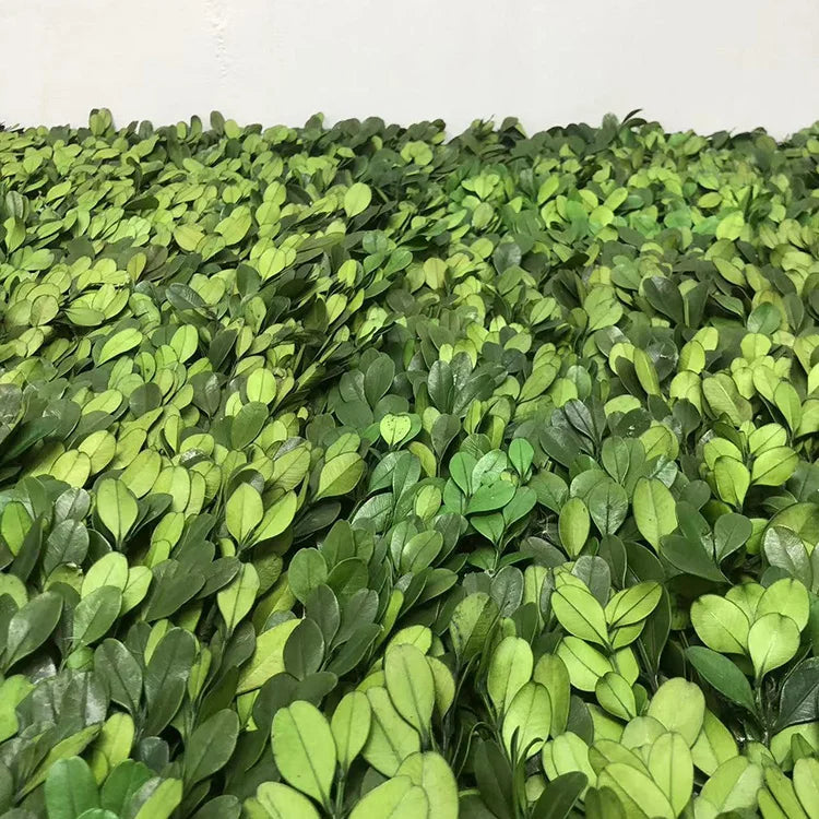 K-0118 Accept Customization Green Grass Decoration Home Garden Plant Wall Preserved Boxwood Leaves Grass Wall