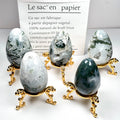 Moss Agate Egg Shaped Stones Crystal Oval Pocket Stones Natural Healing Smooth Wholesale Moss Agate Stone Eggs