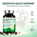 Digestive Health Capsules Herbal Formula Gut Support Supplement Stomach Comfort Digestive Enzyme Dietary Supplement OEM ODM MegaBDM