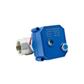Tianfei High-tech 2-way CWX-25S Electric Ball Valve With Manual Function