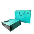 Custom Ivory Board Luxury Portable Long-handled Gift Bags with Flexiloop Ribbon Handles Offset Printed Logo for Promotional Use
