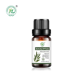 HL- 10ML Eucalyptus Australiana Essential Oil Supplier BULK Therapeutic Eucalyptus Oil 100% Pure Organic | Eucalyptus Radiata