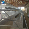 Poultry Farm Equipment Supplier Chickens Egg Layer Cage Design Stacking a Type Mesh Wire Feeder Hen Coop Small