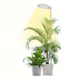 CE&RoHS Garden-Style Full-Spectrum LED Grow Light 165cm Adjustable Standing Plant Lamp with Ring Design for Sunlight Supplement