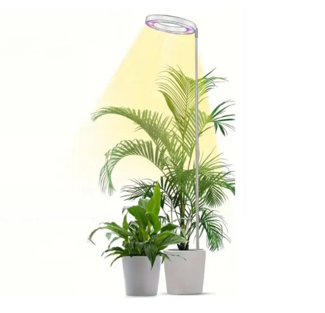 CE&RoHS Garden-Style Full-Spectrum LED Grow Light 165cm Adjustable Standing Plant Lamp with Ring Design for Sunlight Supplement