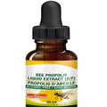 Low Moq Water-Soluble Bee Extrait De Liquide Brazil Green Propolis Liquid MegaBDM