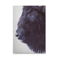 Made In Germany - Home Decor Canvas Picture Animals Buffalo - Wall Mural In Black And White - Canvas Picture On Stretcher Frame