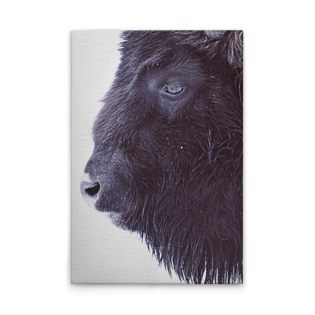 Made In Germany - Home Decor Canvas Picture Animals Buffalo - Wall Mural In Black And White - Canvas Picture On Stretcher Frame