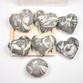 Amazing Natural Simi-Precious Heart Shaped Crystal Craft Polished Sea Shell Stones Energy Palm Stone for Gifts Decoration