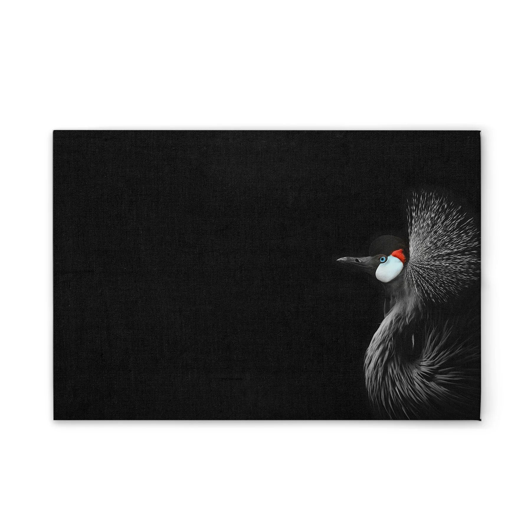 Made In Germany - Home Decor Canvas Picture Animals Crane - Wall Mural In Black And White - Canvas Picture On Stretcher Frame
