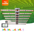Led Grow Light for a 5X5 Space High PPf Full Spectrum Dimmable Grow Light 1000W Brand Lm301h Supplier in China