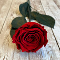 Long Stem Red Preserved Roses Wholesale Eternal Roses for Home Decoration for Graduation and Thanksgiving Valentines' Flowers