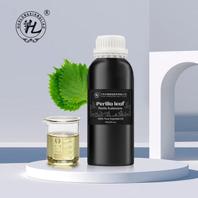 Green Shiso Leaf Oil Bulk Price1Kg Steam Distilled Perilla Frutescens Leaf Essential Oil 100% Pure for Skin Hair