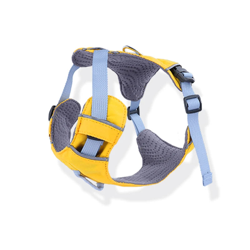 2024 Luxury No Pull Custom Dog Harness Pet Accessories Adjustable Reversible Designer Dog Harness