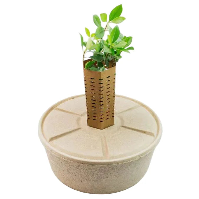 Eco-Friendly Paper Pulp Tree Watering Basin Biodegradable Garden Protector for Seedling Growth Irrigation with Cover MegaBDM
