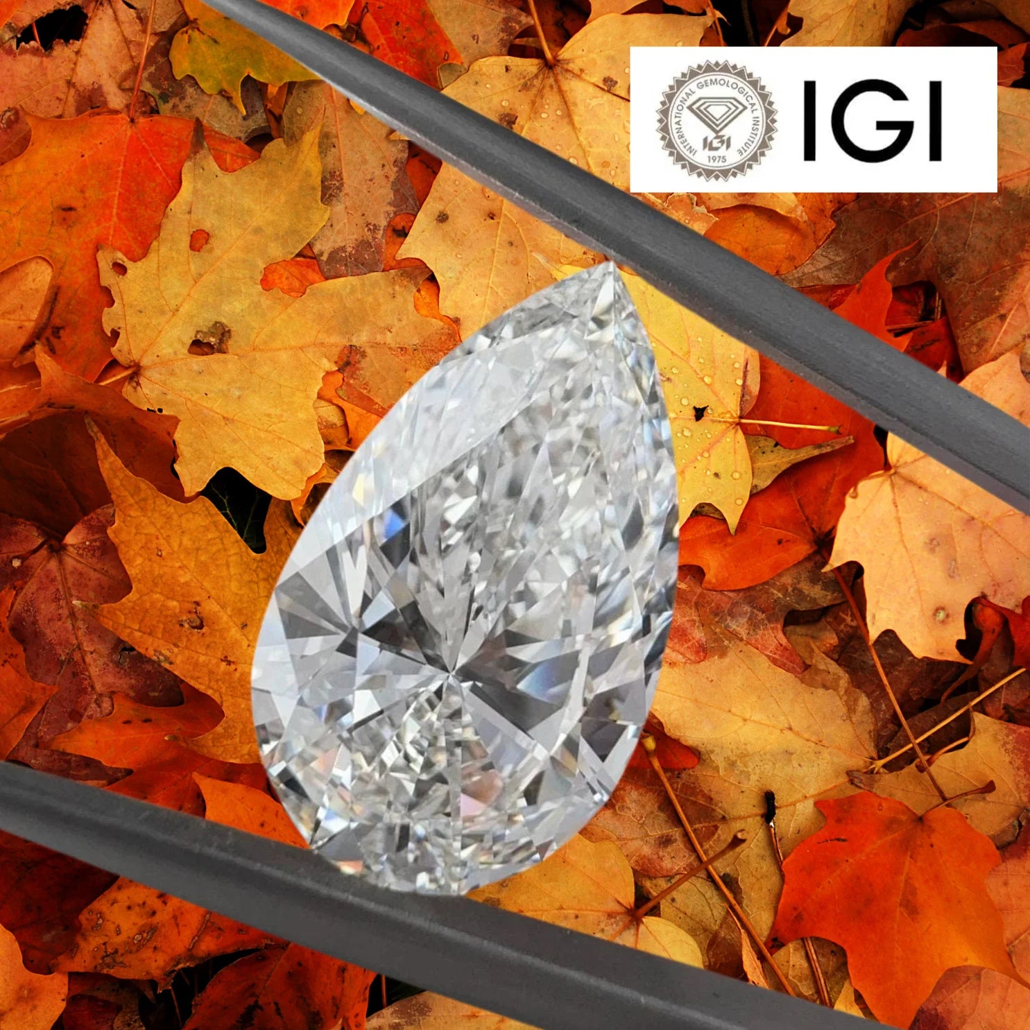 SHREERAJ SOLITAIRE IGI Certified 1.50CT Pear Shape Lab Grown Diamond E Color VVS1 Clarity Excellent Cut 9.7x6.3mm Loose Stone