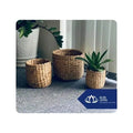 Handcrafted Plant Pot from Water Hyacinth Perfect for Modern Indoor Green Displays by Blue Lotus