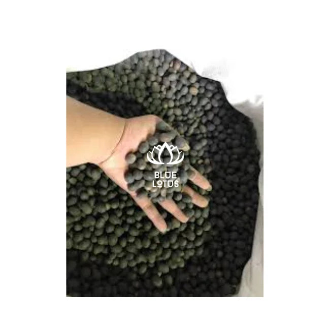 BEST SELLER Premium 100% Organic Black Lotus Seeds for Dessert and Snack OEM Supply Vietnam 24-Month Shelf Life Export Ready