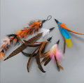 Royal Blue Retractable Funny Pet Toys Wood Stick Rod fairy Interactive Teaser Wand Indoor Chicken Feather Toy for Cat Game