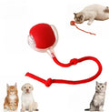 Multifunctional Plastic Silicone Cat Ball Cat Toy Pet Dog Cat Training Rolling Ball Toy Ball With Rope
