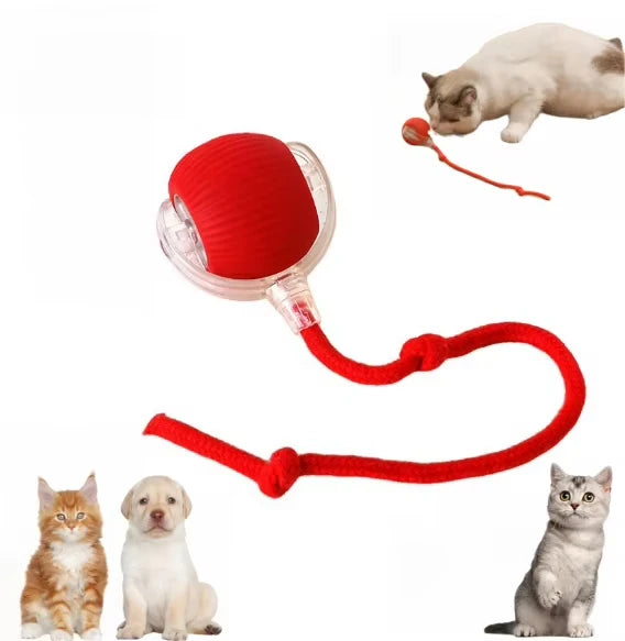 Multifunctional Plastic Silicone Cat Ball Cat Toy Pet Dog Cat Training Rolling Ball Toy Ball With Rope