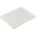 Franz Storage Box Lid Size: L/XL 43 x 35 cm Transparent