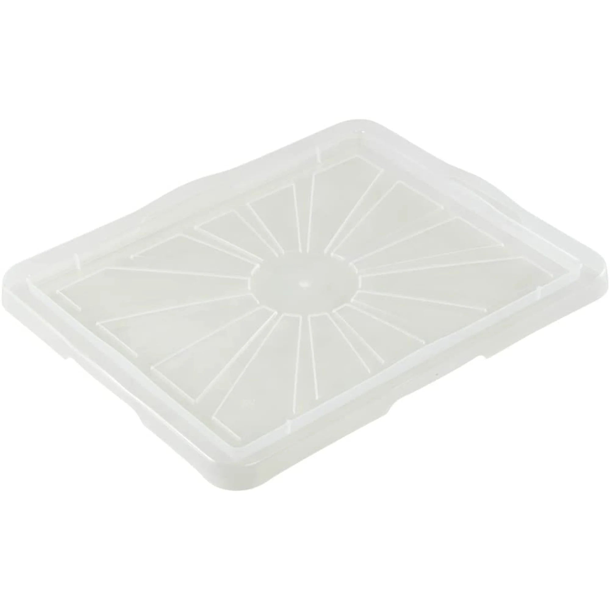 Franz Storage Box Lid Size: L/XL 43 x 35 cm Transparent