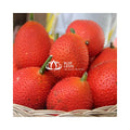 OEM Vietnam Frozen Gac Paste-Competitive Price Bulk Order