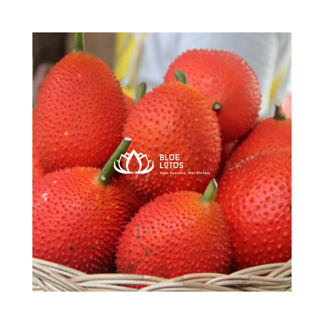 OEM Vietnam Frozen Gac Paste-Competitive Price Bulk Order