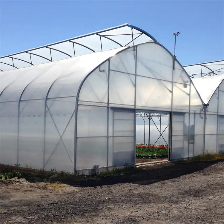 Factory Wholesale Large Transparent Hot Galvanized Steel Frame Polycarbonate Multi Span Agricultural Greenhouse PC Sheet Stable