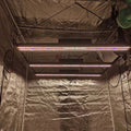 BAVAGREEN High PPFD 650w LED Grow Light Bar Best Samsung Lm301 LED Plant Light for Horticulture Growing Flower Seeds