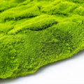 Natural Looking Plastic Artificial Moss Panel for Indoor/Outdoor Decoration Eco-Friendly Landscaping & Background Design