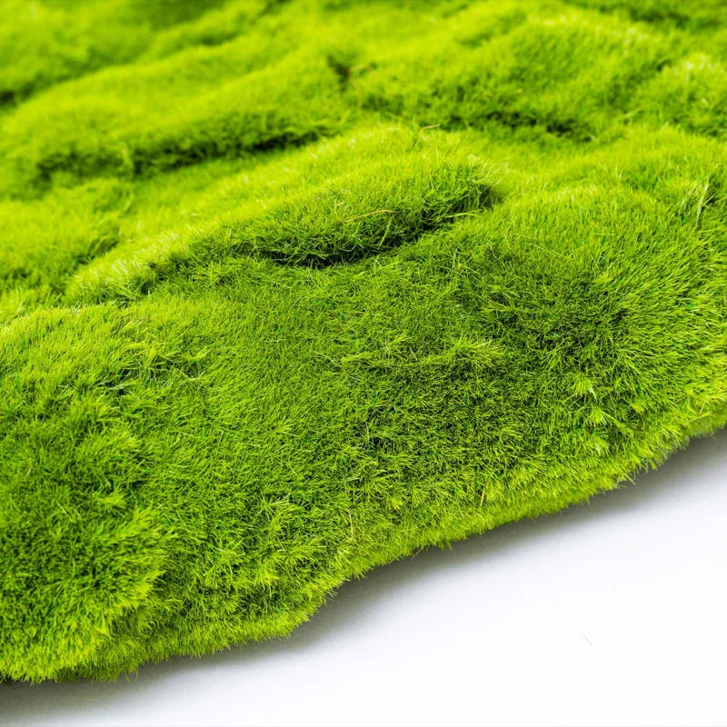 Natural Looking Plastic Artificial Moss Panel for Indoor/Outdoor Decoration Eco-Friendly Landscaping & Background Design