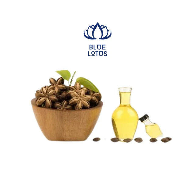 SACHA INCHI OIL 20 LITERS SACHA INCHI NUTS GREEN TREE EXTRA VIRGIN SACHI INCHI OIL 250ML FROM VIETNAM 2025